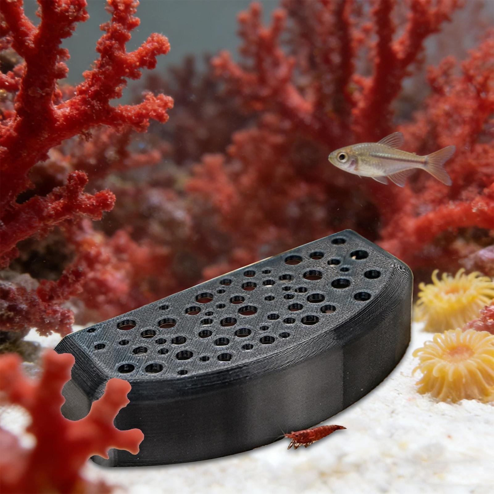 Aquatic Pet Rest Ornament Mult - đánh giá và giá Aquatic Zone