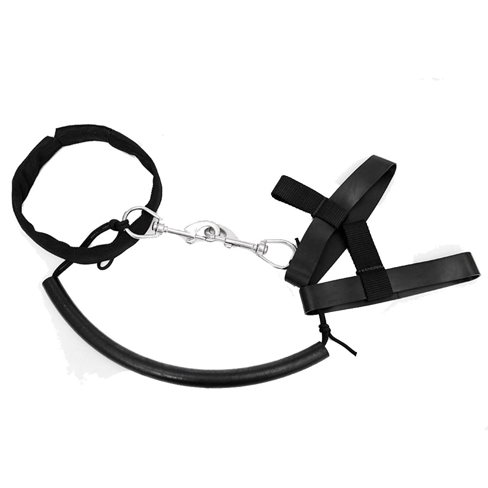 1 Piece Scuba Diving Tank Cyli - đánh giá và giá Aquatic Diving